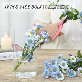 SUPMIND succulent-display vase for modern, low-profile arrangements.