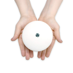Susabella compact round ceramic box ideal for photos or notes.