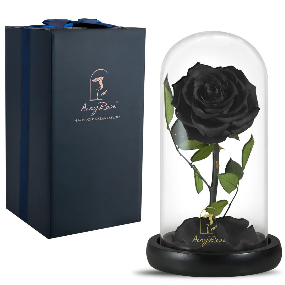 SW Forever Preserved Black Rose in glass dome on display, long-lasting keepsake