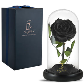SW Forever Preserved Black Rose in glass dome on display, long-lasting keepsake