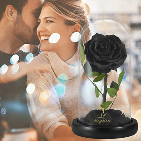 SW preserved rose gift box with glass dome, ideal for Valentine’s Day