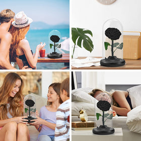 SW real black rose in glass dome packaging, ready-to-gift