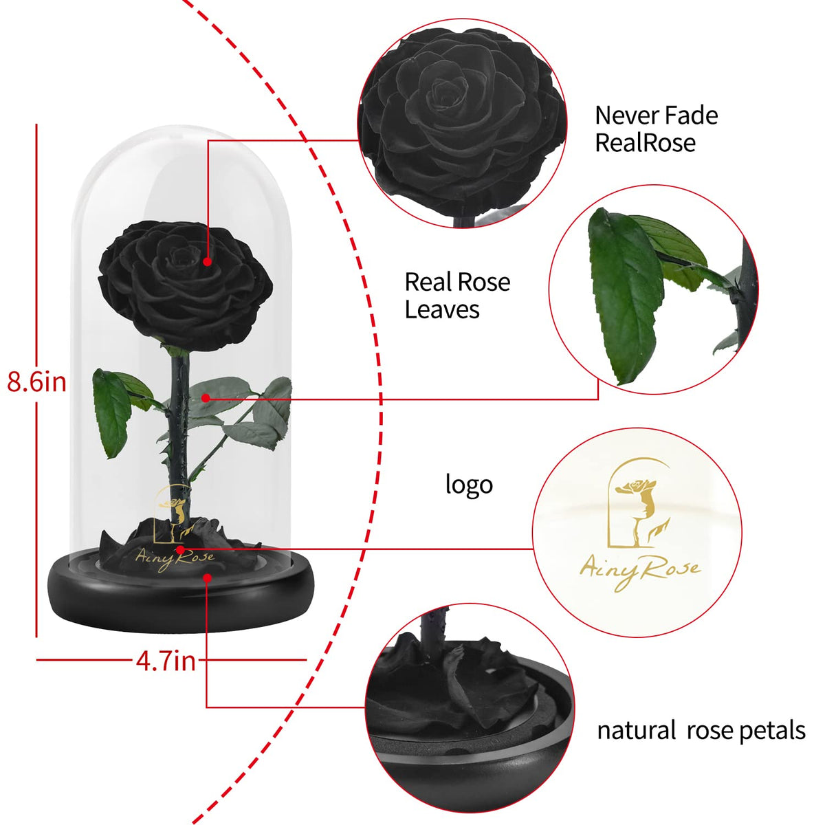 SW Black rose in glass dome, romantic Valentine's gift idea