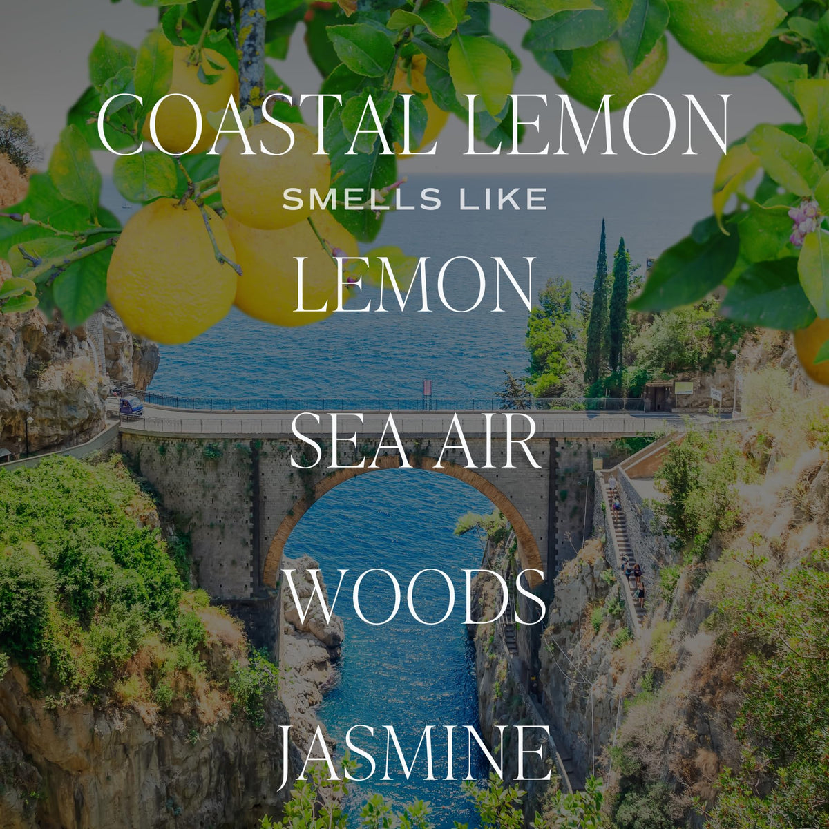 Sweet Water Decor lemon zest close-up highlighting bright citrus fragrance and wax detail.