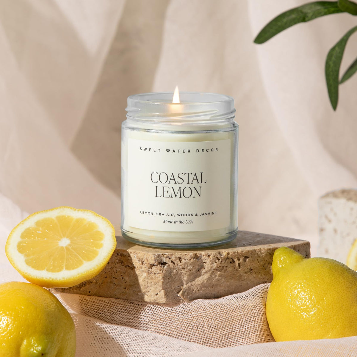 Sweet Water Decor soft white jasmine and clean base for balanced scent depth.
