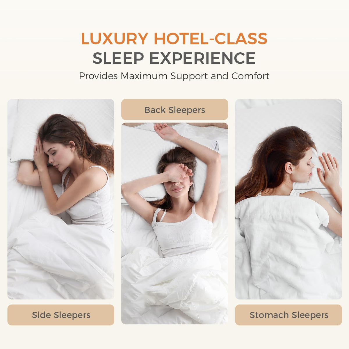 SweetNight packaging hints premium sleep with refined presentation.