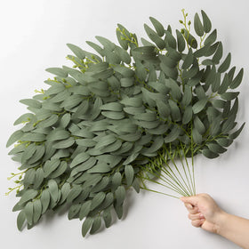SWNAWE Italian ruscus greenery stem for versatile arrangements