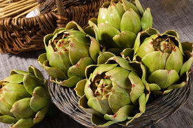 Sxowihz artichoke color stripes detail with fade-friendly finish.