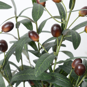 SzJias olive branch offers 54 leaves per branch for a lush greenery look.