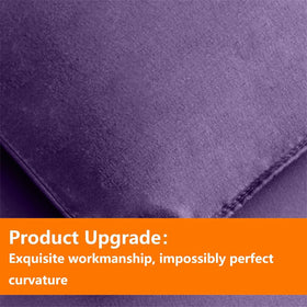 Pillow sham from TAIMIT purple twin set complements the bedding theme.