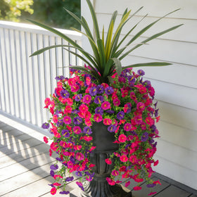 TakeArt morning glory bundles for outdoor decor with realistic color and easy arrangement.
