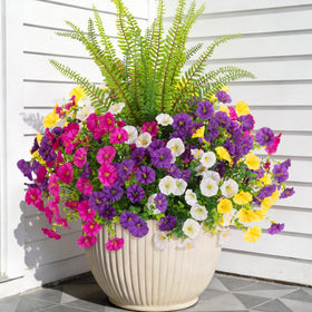 TakeArt morning glory outdoor bundle in faux display, vibrant year-round color for exteriors.