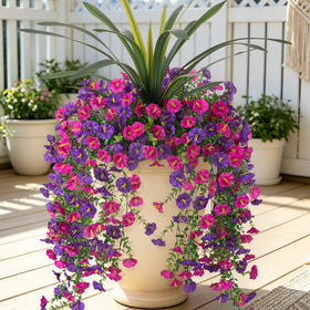 TakeArt morning glory bundles with 25.6-inch blooms for outdoor display.