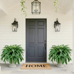 53-inch diameter fern adds a full porch focal point.