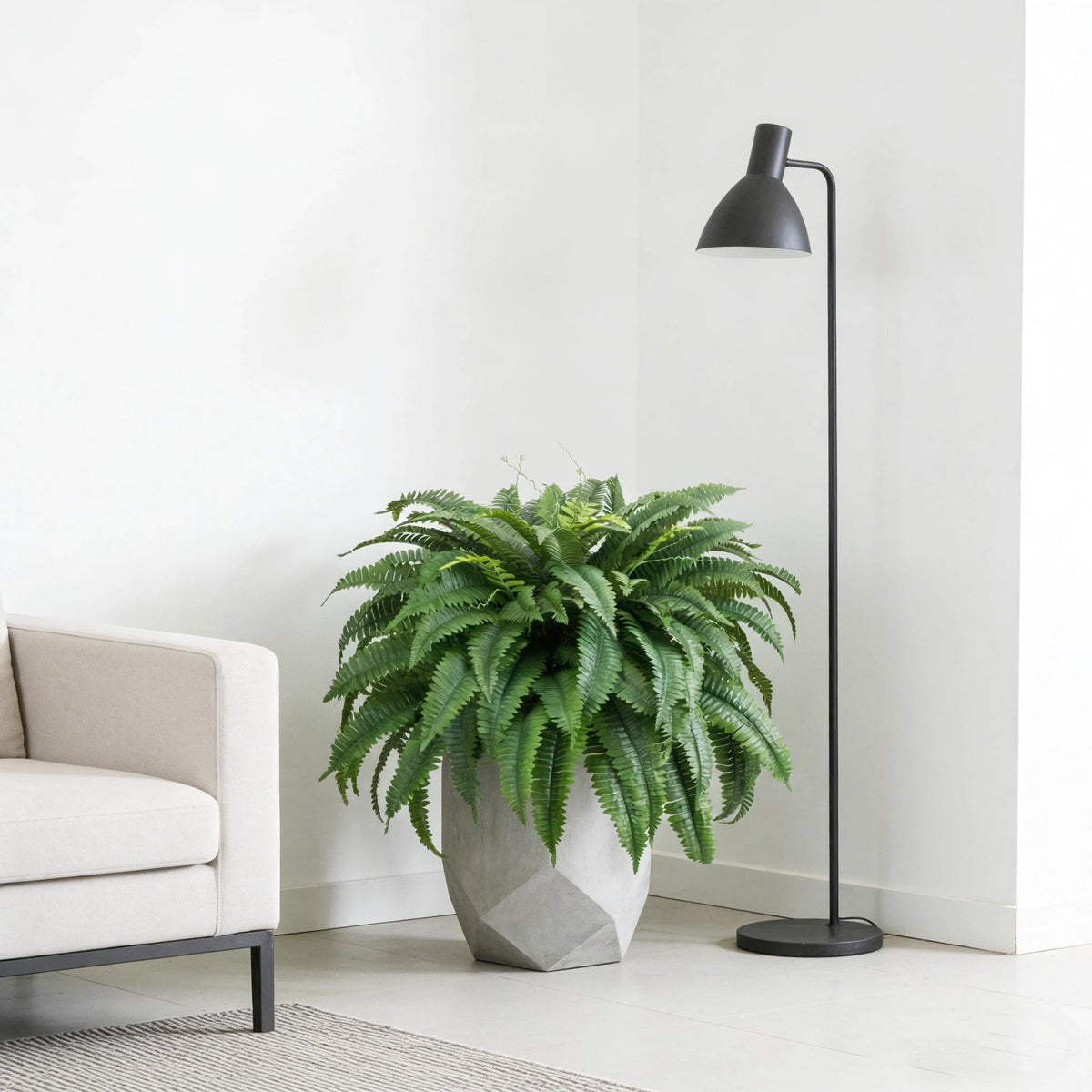 Low maintenance with no watering required.