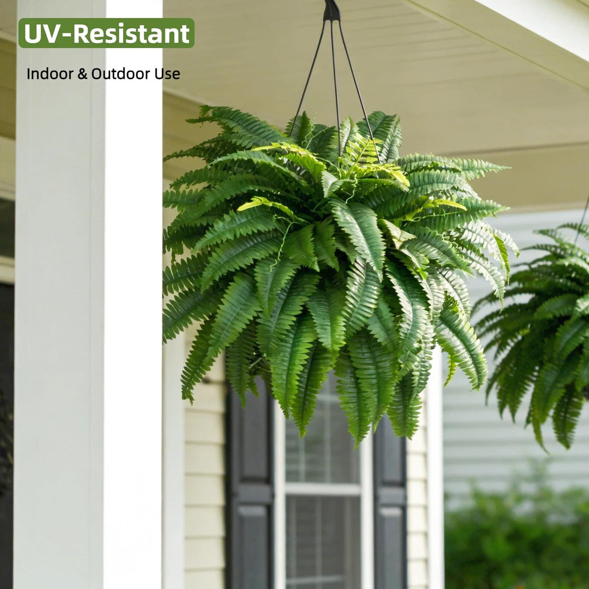 Pet-friendly, non-toxic materials suited for homes.