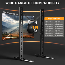 TAVR compatibility with max VESA 800x600 for most TVs