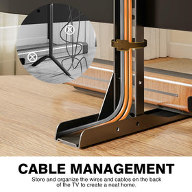TAVR stand showing two installation modes for different TV sizes