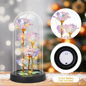 Tayfeim eternal rose gift set combines beauty and sentiment