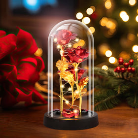 Tayfeim three-rose glass dome arrangement offering enduring affection
