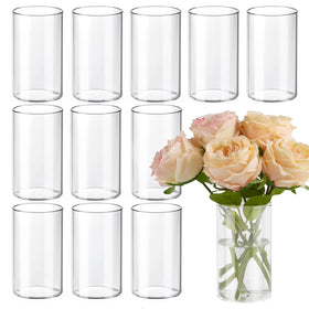 TBWIND 12-pack glass cylinder vases as elegant centerpieces