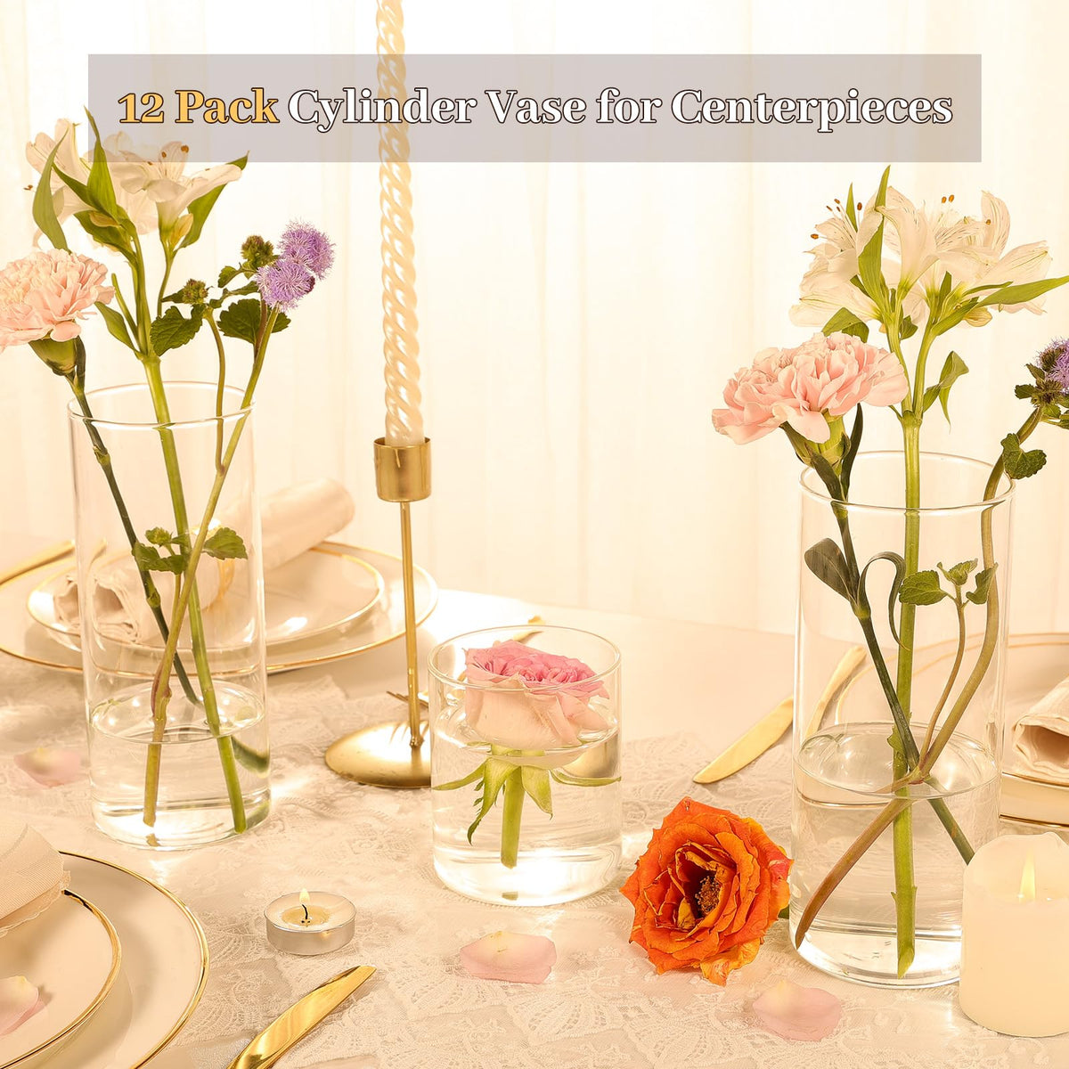 TBWIND clear glass vases 8in with smooth mouth edge for pristine floral displays.