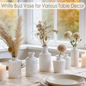 TBWIND bud vase collection offers durable, chip-resistant bases for daily display