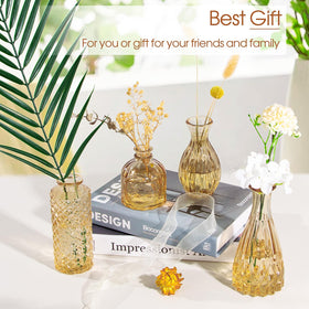 TBWIND mini vase set twelve with varied shapes for versatile decor.