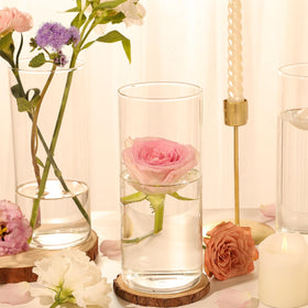 TBWIND 12-pack packaging protects vases during shipping.
