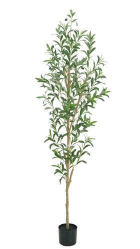 TDIAOL 6ft olive tree full display enhances indoor ambiance.