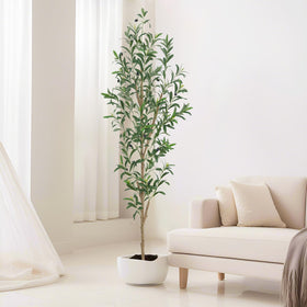 TDIAOL 6ft olive tree leaves close-up shows lifelike foliage.