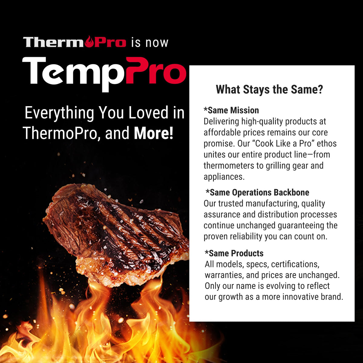 TempPro TM02 durable timer for busy households and classrooms.