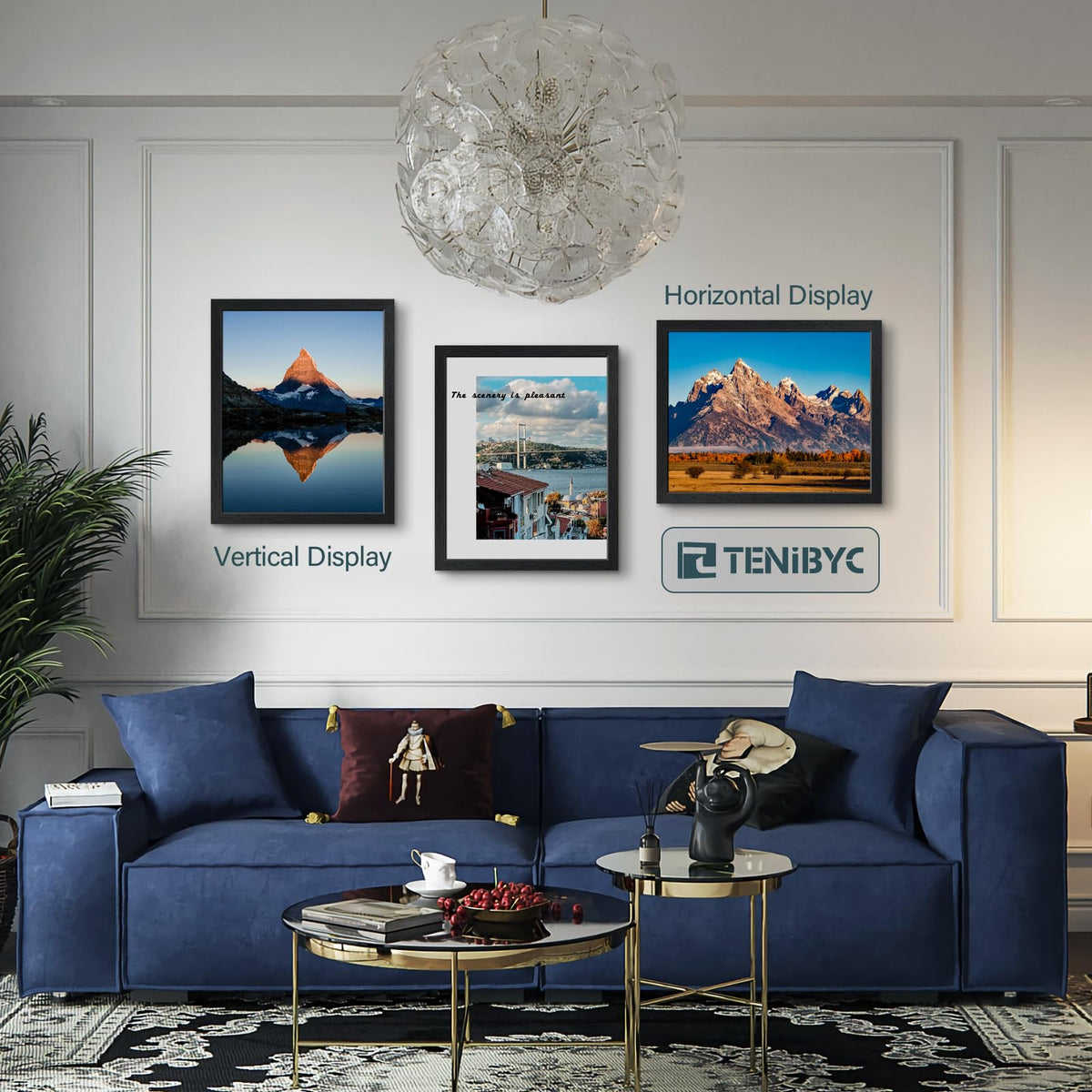 TENIBYC versatile 16x20 or 20x16 compatibility for photos, posters, or certificates.