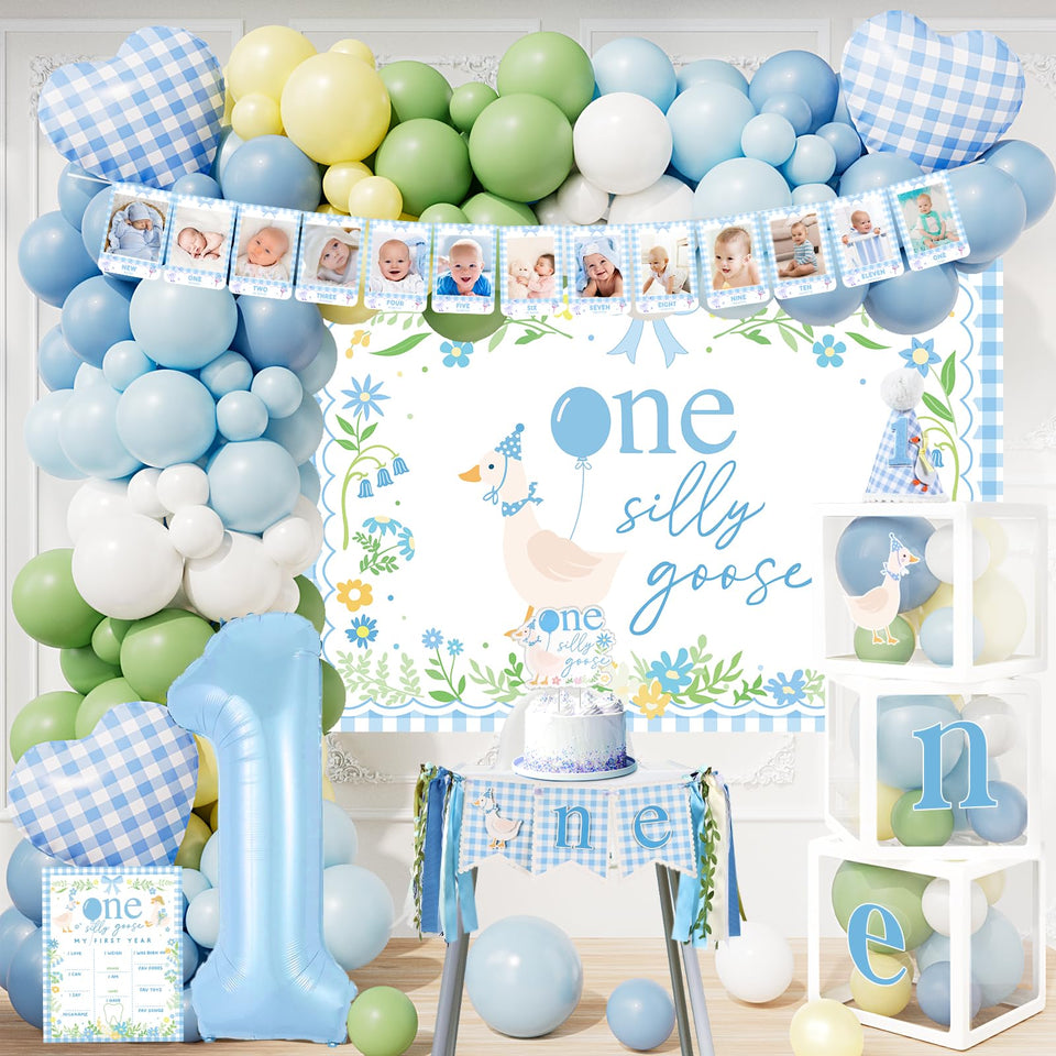 Tenshun One Silly Goose birthday backdrop for a playful baby boy's first birthday