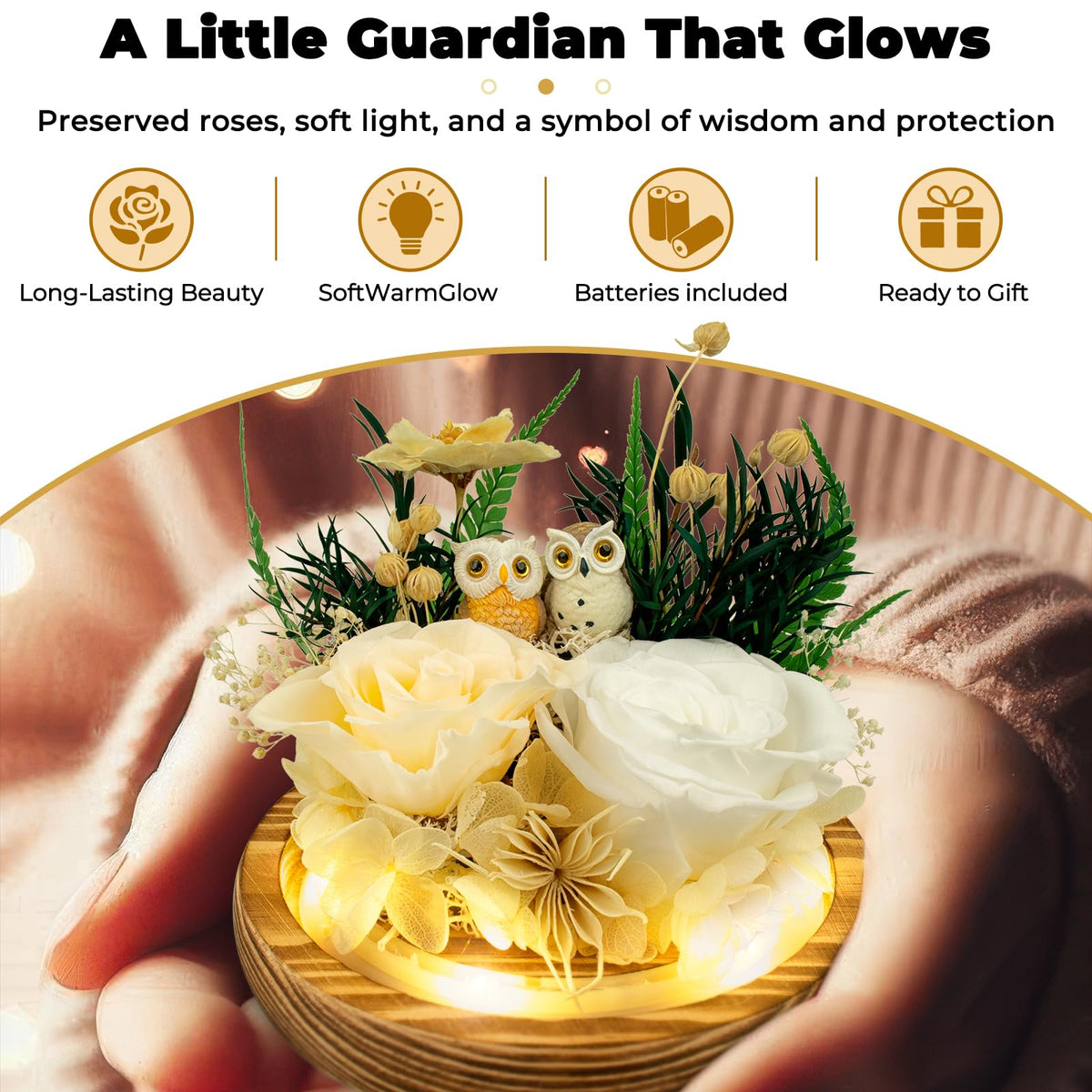 Tgelata glass dome flower display showcases preserved roses under soft light