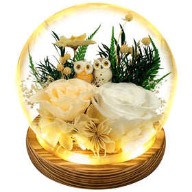 Tgelata preserved roses with owl dome display for timeless elegance