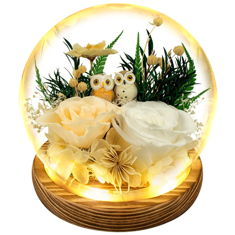 Tgelata preserved roses with owl dome display for timeless elegance