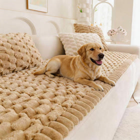 TGODGPY pet couch cover over a sofa protecting from scratches and fur