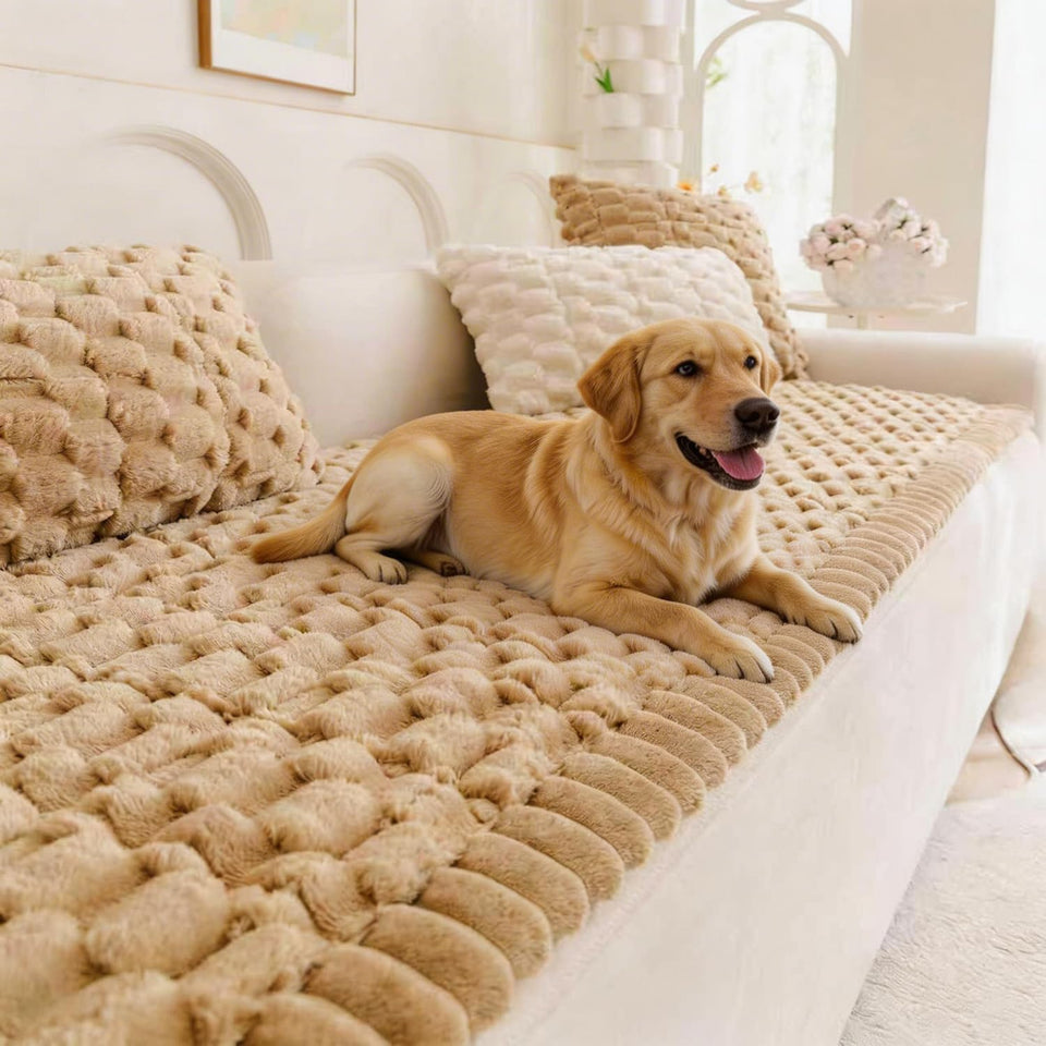 TGODGPY pet couch cover over a sofa protecting from scratches and fur