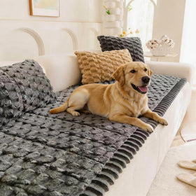 TGODGPY pet couch cover on sofa protects from fur and spills with boho style.