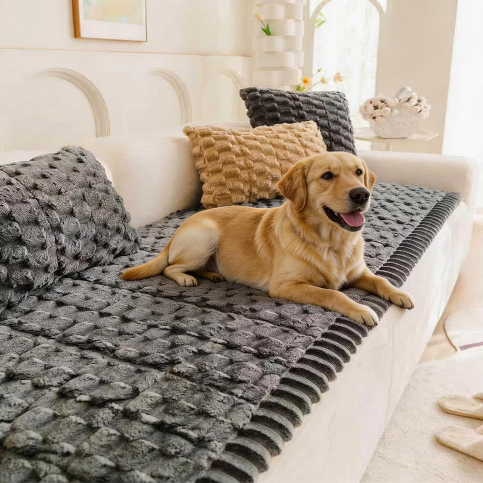 TGODGPY pet couch cover on sofa protects from fur and spills with boho style.
