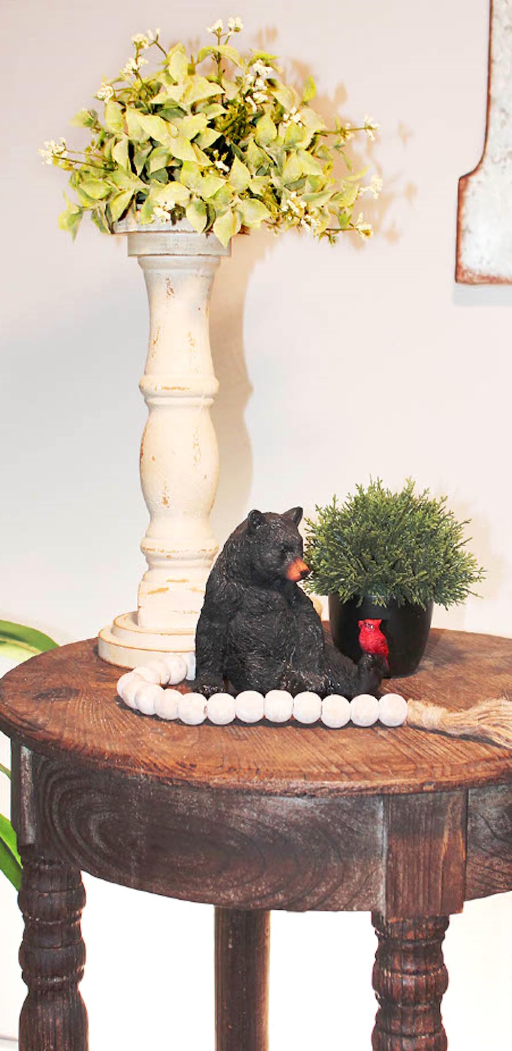 Gift-ready packaging enhances gifting for nature lovers and collectors.