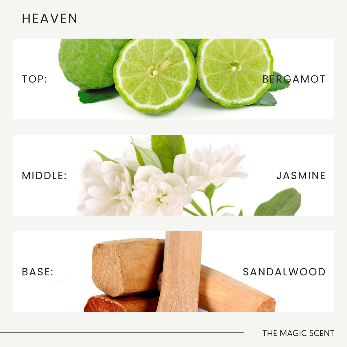 The Magic Scent Heaven Diffuser Oil sandalwood, amber, musk base notes.