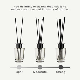 In-room setup of The Magic Scent Mahogany & Teakwood diffuser