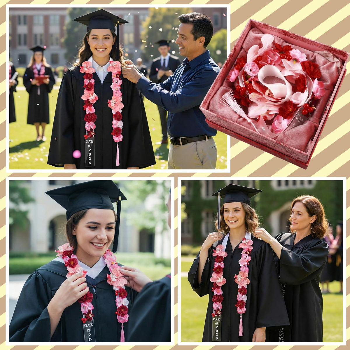 Thiccywoov Graduation Lei phalaenopsis close-up shows layered blooms and color depth.