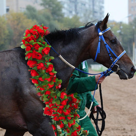 Thiccywoov trophy embellishment roses add a celebratory touch to victories.