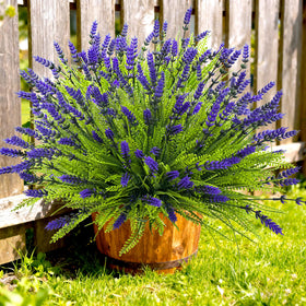 Thinktral outdoor decor bundles, durable and reusable across seasons.