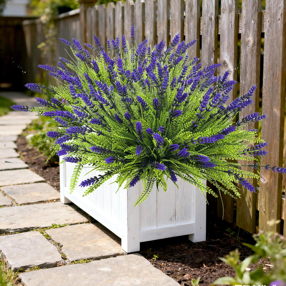 Thinktral monkey grass greenery for garden or balcony, low maintenance.