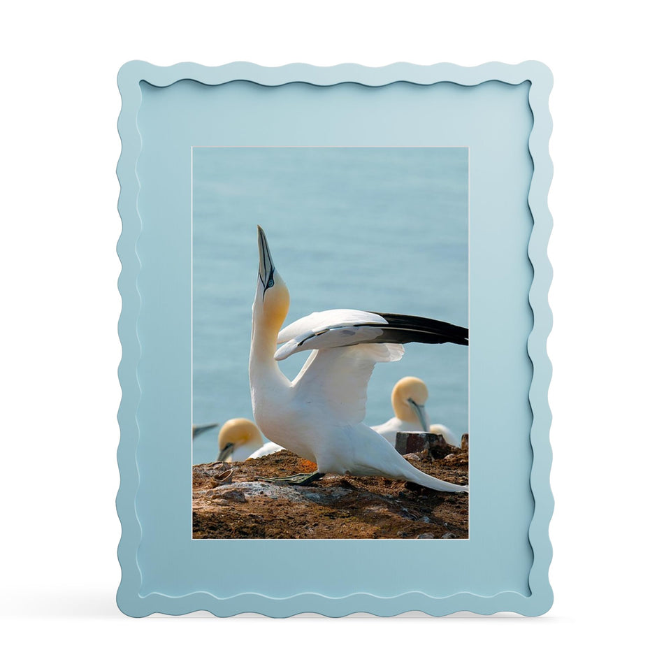 THKRLOF 11x14 frame with mat blue for displaying 8x10 photos