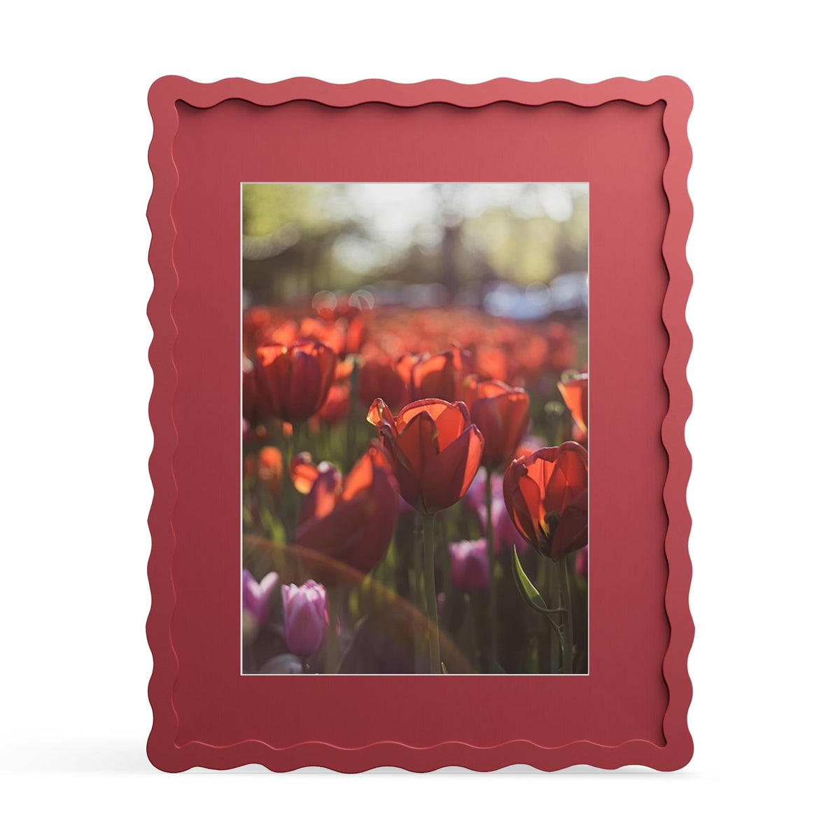 THKRLOF 11x14 frame with mat highlights 8x10 photo for wall display
